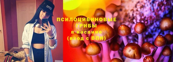 apvp Алексин